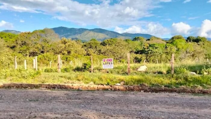 Venta de Lotes