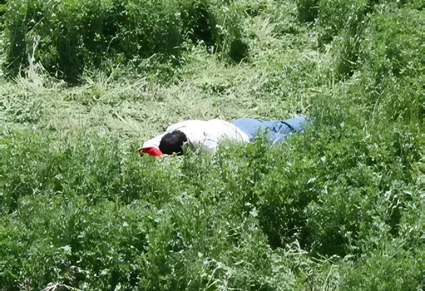 Asesinan campesino cerca de una escuela en Algeciras