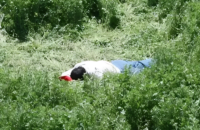 Asesinan campesino cerca de una escuela en Algeciras