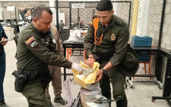 Incautan marihuana oculta en filtros para vehículos en Neiva