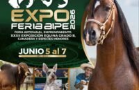 Expoferia Aipe 2026 reunirá tradición, cultura y agroindustria