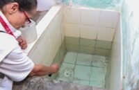 Neiva reduce 76% los casos de dengue en 2026