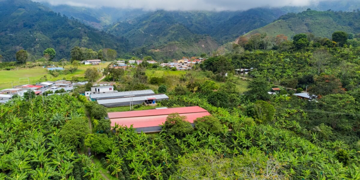 Huila busca blindar el campo frente al clima