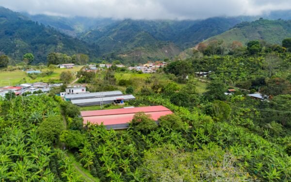 Huila busca blindar el campo frente al clima