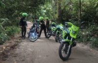 Cayeron 19 durante operativo policial en Huila