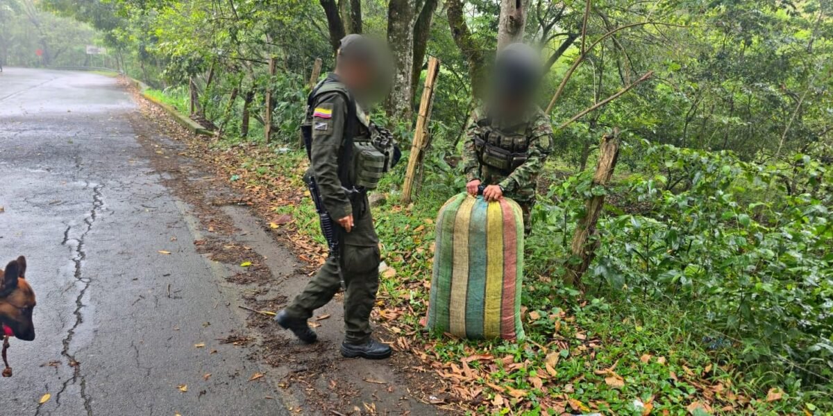 Incautan 25 kilos de marihuana en La Plata, Huila