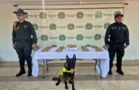 Incautan encomienda con marihuana en Neiva
