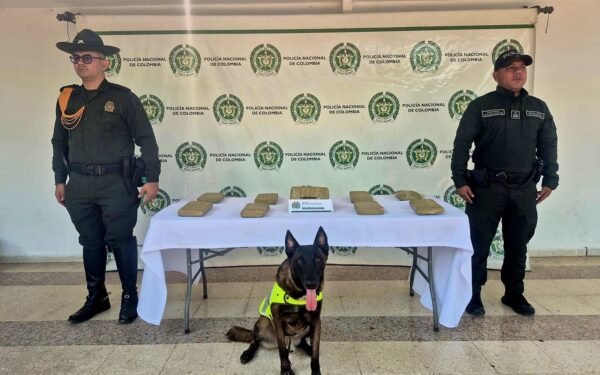 Incautan encomienda con marihuana en Neiva