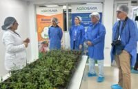 Neiva impulsa bancos de semillas indígenas