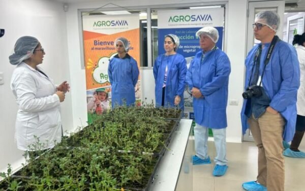 Neiva impulsa bancos de semillas indígenas