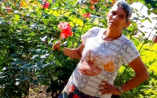 Murió adulta mayor atropellada en Garzón