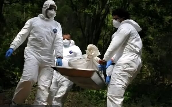 Hallan hombre asesinado en La Plata
