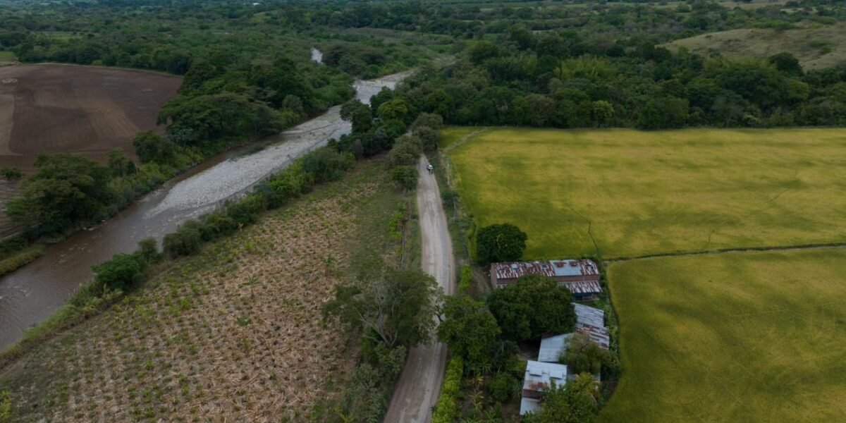 Adjudican millonaria vía para el norte huilense
