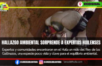 Histórico hallazgo ambiental en tierras huilenses