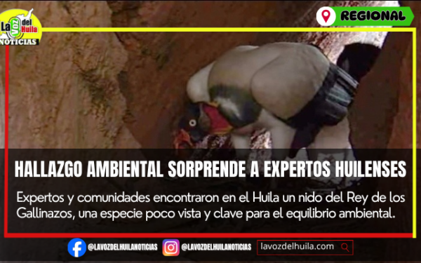 Histórico hallazgo ambiental en tierras huilenses