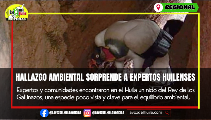 Histórico hallazgo ambiental en tierras huilenses