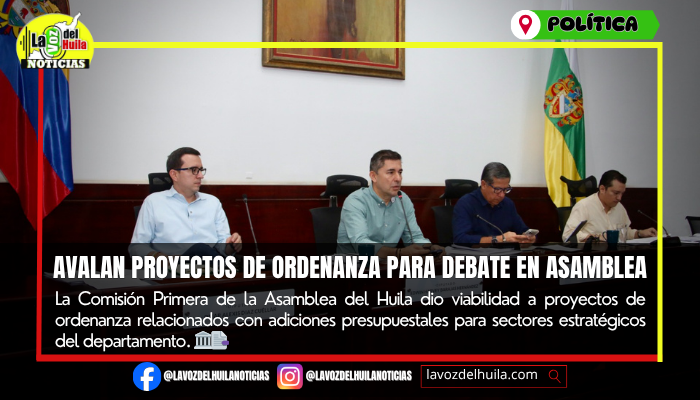 Comisión Primera avaló proyectos de ordenanza en el Huila