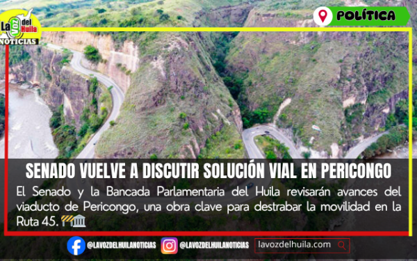 Senado revisará avances del viaducto de Pericongo