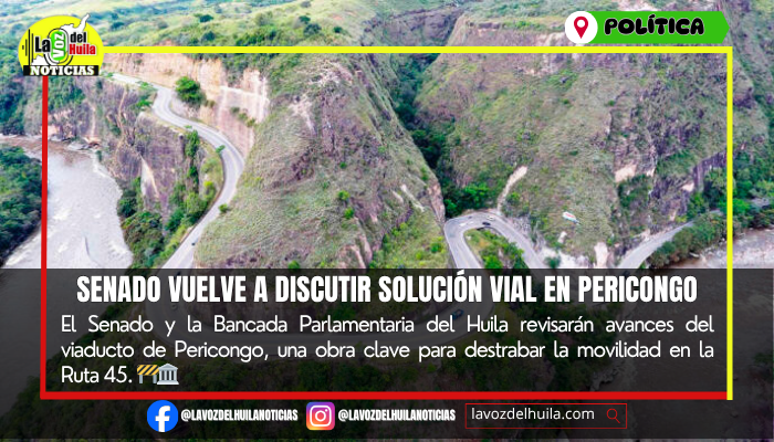 Senado revisará avances del viaducto de Pericongo
