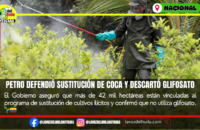 Petro defiende sustitución de coca y descarta uso de glifosato