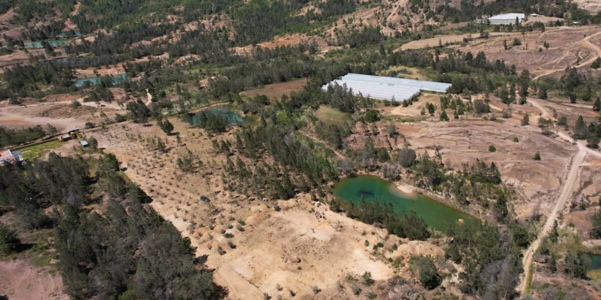 Fenómeno de El Niño prende las alarmas