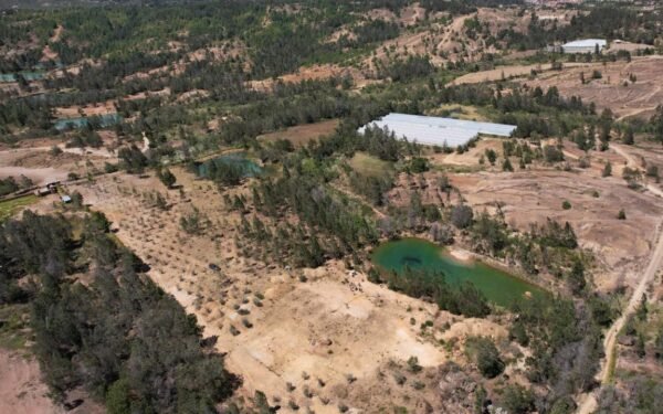 Fenómeno de El Niño prende las alarmas