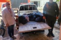 Incautan carne sin procedencia legal