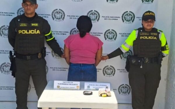 Capturada por hurto de cartera en Altamira
