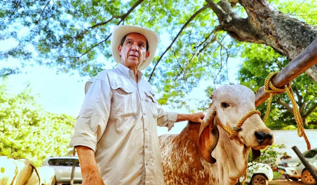 FEDEGÁN apuesta por la ganadería para impulsar el campo