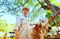FEDEGÁN apuesta por la ganadería para impulsar el campo