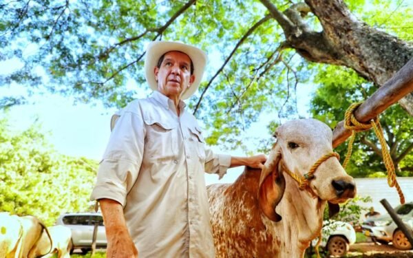 FEDEGÁN apuesta por la ganadería para impulsar el campo