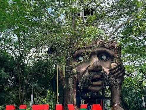 Neiva prepara política pública para fortalecer el turismo