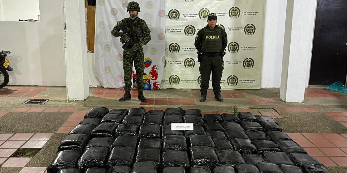 Cayeron 22 personas y decomisaron 280 kilos de marihuana en Huila