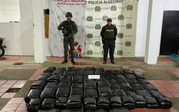 Cayeron 22 personas y decomisaron 280 kilos de marihuana en Huila