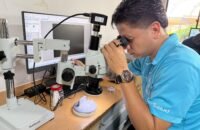 Neiva llevará dos investigaciones a congreso latinoamericano