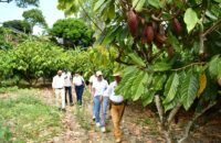 Ruta del Cacao en Rivera ofrece más de 40 sabores