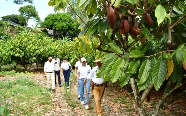 Ruta del Cacao en Rivera ofrece más de 40 sabores