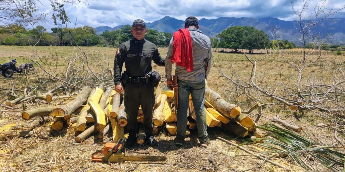 Capturan a hombre por tala ilegal en Rivera